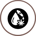 Respect de l'environnement